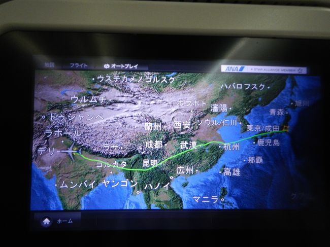 2019年遅めの夏旅は・・初めてのインドへ行ってきました。<br />改元の10連休の行き先にいったん候補にあがったタージマハール。<br />その時は思ったより高い航空券と個人手配では難易度が高く感じられ断念。<br />でも心のどこかに引っかかっていたインド・・。<br />そんな中ふとしたことからお得なANAWEB限定ツアーを発見。<br />これはもしかして・・インドに呼ばれているのかも~。<br />ということで遅めの夏旅は<br />添乗員同行のANAツアーでタージマハールへ行ってきました。<br /><br />久しぶりのツアー旅は多少のマイナス点はあったものの<br />安心快適で大満足でした。<br />ツアー旅も良いかも。<br /><br />初日は仙台空港から成田経由でデリーまで。<br /><br /><br />ANAWEB限定ツアー<br />「添乗員同行の旅 <br /> はじめてのインドゴールデントライアングルを巡る5日間」<br /><br />9/13(金) 仙台空港発 14:35 ANA3234便<br /> 成田空港着 15:45<br /> 成田空港発 17:55 ANA827便<br /> デリーインディラガンジー空港 23:45着<br /> 時差(-3.5h)<br /><br /> ウェルカムホテル ドゥワルカ泊<br /><br />9/14(土)午前デリー観光<br /> ラール・キラー(レッド・フォート)<br /> フマユーン廟<br /> クトゥプ・ミナール <br /> <br /> タンドリーチキンのランチの後<br /> 午後からジャイプールへ (約5時間のバス移動) <br /><br /> ラマダジャイプール泊<br /><br />9/15(日)午前ジャイプール観光<br /> アンベール城<br /> ジャンタル・マンタル<br /> ターリーのランチのあと<br /> 午後からチャンド・バオリ経由アグラヘ<br /> (約5時間のバス移動)<br /> <br /> ラディソンホテル アグラ泊<br /><br />9/16(月)午前アグラ観光<br /> タージマハール<br /> アグラ城<br /> 中華料理のランチの後<br /> 午後デリーへ(約4時間のバス移動)<br /> デリーで夕食の後空港へ。<br /><br />9/17(火)インディラガンジー空港発 1:10 ANA828便<br /> 成田空港着 12:55(時差+3.5h)<br /> 成田空港発 16:00 ANA3133便<br /> 仙台空港着 17:00<br /><br /><br />*ツアー代金:163,510円/1人<br /> 国内線(仙台ー成田)往復+諸費用込<br /> 1月予約確定8月<br /><br />*5000円=2940ルピー(1ルピー≒1.7円)<br /> 現地ガイドさん両替<br />*現地キャッシングはしませんでした。<br />*クレジットカードの換算レート1ルピー≒1.5613<br /><br />自分自身の旅行の備忘録も兼ねた旅行記です。<br />シツコクなることをお許し下さいませ。