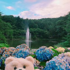 名もなき噴水が綺麗だったので空撮してみた、長野県,安曇野市