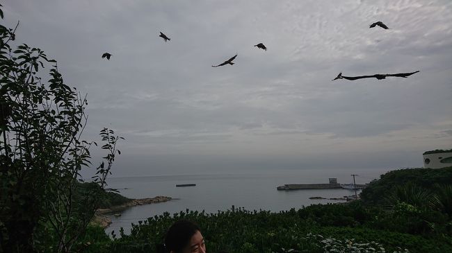 館山の風の抄で一泊し、日本寺の大仏や木更津アウトレットなどを楽しみました。<br /><br />1日目<br />道の駅 保田小学校<br />ホテル洲の崎風の抄<br /><br />2日目<br />鋸山 日本寺<br />金谷港 the Fish<br />三井アウトレットパーク木更津<br />