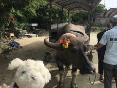 求めていた景色があった竹富島