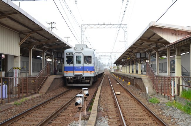 大阪府の堺市より南はかつては和泉の国だった訳だが、現在においても「泉州」と言うことばはよく耳にする。泉州で最も大きな町は、政令指定都市となった堺市だが、堺は泉州というよりも独立した町という印象が強く泉州と来れば「岸和田」という印象が強い。<br />大阪のなかでも特にドギツイ泉州弁、そして何度も大きな事故を起こしながらも未だに続けられるだんじり祭。荒ぶる町といった印象だ。<br />岸和田を歩いてみると大正から昭和初期に作られた石造りの建物も残りレトロな町並みも残っている。町歩きも面白い。