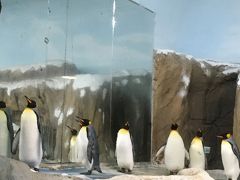 11度目の台湾③台北-(3日目、台北市立動物園～火鍋～寧夏夜市編）