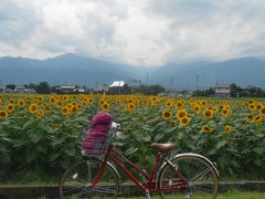 18切符で安曇野サイクリング♪★鎌倉から日帰り★