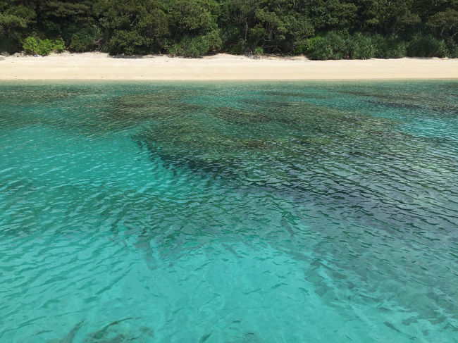 今年の夏の家族旅行は、急ぎ６月中旬に考え始め、６月下旬に奄美大島に行くことに決定しました。<br />今回は、JTBで、航空券＆ホテル（フリープラン）の「スーパーきままスペシャル奄美群島」を三泊四日で予約しました。航空券はJALの直行便を予約、レンタカーもオプションで予約しました。<br />旅行の前日までは台風、後日は雨という天気でしたが、旅行中は天気に恵まれ本当にラッキーでした。<br /><br />１日目：羽田空港　⇒　奄美大島（JAL直行便）<br />２日目：倉崎海岸でシュノーケリング　⇒　昼食　⇒　マングローブ原生林でカヌー<br />３日目：プール　⇒　昼食　⇒　海釣り<br />４日目：大島紬村で染物体験　⇒　昼食　⇒　土盛海岸　⇒　奄美大島空港　⇒　羽田空港（JAL直行便）<br /><br />３日目、午前はホテルのプールでのんびり遊びました。<br />午後は、船に乗って釣りをしました。釣った魚は、居酒屋さんに持ち込み、調理していただきました。持ち込み料は支払います。釣れた魚は、今までに釣ったことのないようなお魚ばかり。南の島の魚の知識がない私たちだけで釣っていたら、間違いなく、食べることのなかった魚です。なかなかワイルドな日でした。<br />