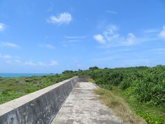 今まであった防風林を除去して、防風林よりも低いこの大防波堤が造られたけど、それは逆効果では無いのか？2019年７月八重山・黒島８泊９日１０３