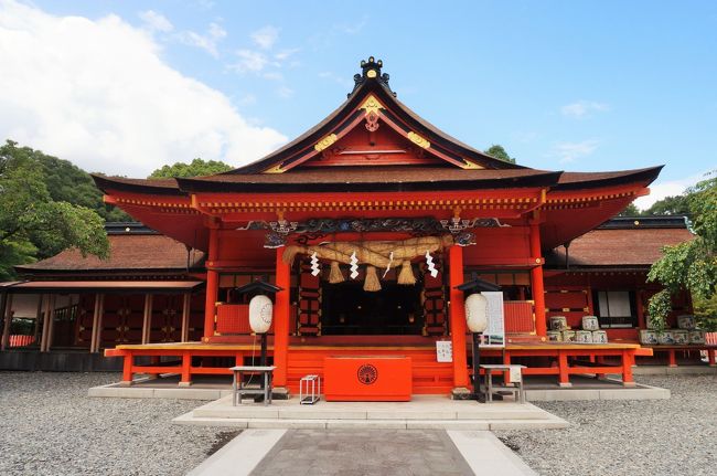 静岡県の一の宮と久能山東照宮に参るため、静岡駅前に3泊しました。<br />静岡グルメも堪能、特に静岡おでんが気に入りました。<br />