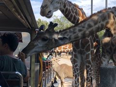 2019 チェンマイ 子連れ旅 2日目