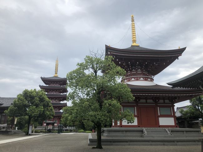 2019年8月<br />所用で熊本に行ったついでに、玉名市をプラプラして、平山温泉で一泊してきました。<br /><br />以前知人に勧められた平山温泉がお湯よし、料理よし、宿よし、お値段よしですばらしかったので、今回も平山温泉で別のお宿をチョイス。<br /><br />時間があまったので、旅館に行く前に立ち寄った誕生寺は、「なんでこんなところに？」と思うくらい、立派なお寺なのにほとんど観光客はおらずゆっくり観光できました。<br /><br /><br />