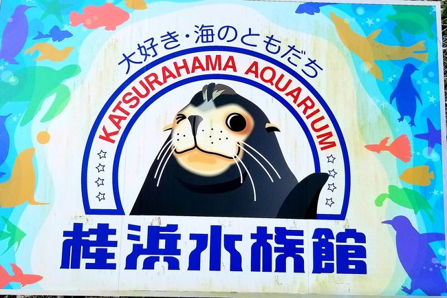 JALのどこかにマイルで高知にまいる(後編)♪ × 【水族館に行こうシリーズ】で桂浜水族館！(2019.08高知)