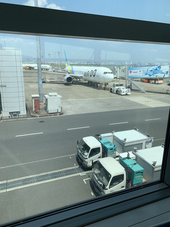 アニキ(小2 )ちぃ兄(小1)お嬢(2歳)と行く初めての北海道旅!<br />家族全員が初めて訪れる北海道。王道プラン3泊4日です。<br /><br />1日目<br />お昼の便で旭川へ<br />旭山動物園<br /><br />2日目<br />富良野・美瑛<br />夕方に札幌へ移動<br /><br />3日目<br />小樽観光<br /><br />4日目<br />モエレ沼公園<br />夕方の便で羽田へ<br />