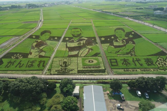 埼玉県出身なのに自動車免許の更新以降、大宮駅より先には30年近く行ってなかったので、熊谷市の妻沼聖天山とセットで田んぼアートを見に行田市の古代蓮の里を訪れた。蓮の花の見頃は終わっていたがチョットだけ楽しむ事が出来、展望台からは来月開幕する「ラグビーワールドカップ2019日本大会」の試合が熊谷で行われることもあって、田んぼアートは日本代表選手の姿が。熊谷では県内唯一の国宝建造物「妻沼聖天山の聖天堂」を間近で拝観し、装飾の美しさに圧巻。残暑とはいえ暑さで有名な熊谷市、地元名物を食べながら短期集中型のスケジュールを組んでみた。<br />青春18きっぷが1回分残っているが、100円しか得しないので温存。