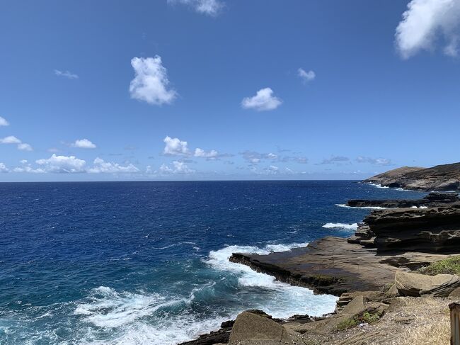 もう、海遊びの年齢じゃないしなぁ。<br />と、ハワイは憧れても夏旅行の選択肢には上がりませんでした。<br />でも、仲の良い友人夫妻にお誘い頂き重い腰を上げました。<br />行ってみたら、最高！！！<br />レンタカー借りてノースショアでウミガメに遭遇、３０年ぶりのハナウマベイ、ダイヤモンドヘッド登山、と盛りだくさん。<br />シニアの方が更に楽しめる事が分かりました。