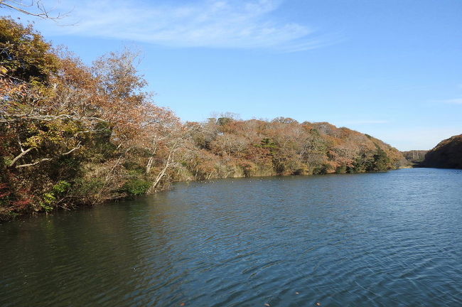 茨城県水郷県民の森でバードウォッチングを楽しみました。<br /><br />表紙写真は、水郷県民の森の中にある大膳池の風景です。<br />