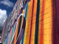 2019Hawaii⑤ めっちゃ歩いた1日⭐️カカアコ ウォールアート