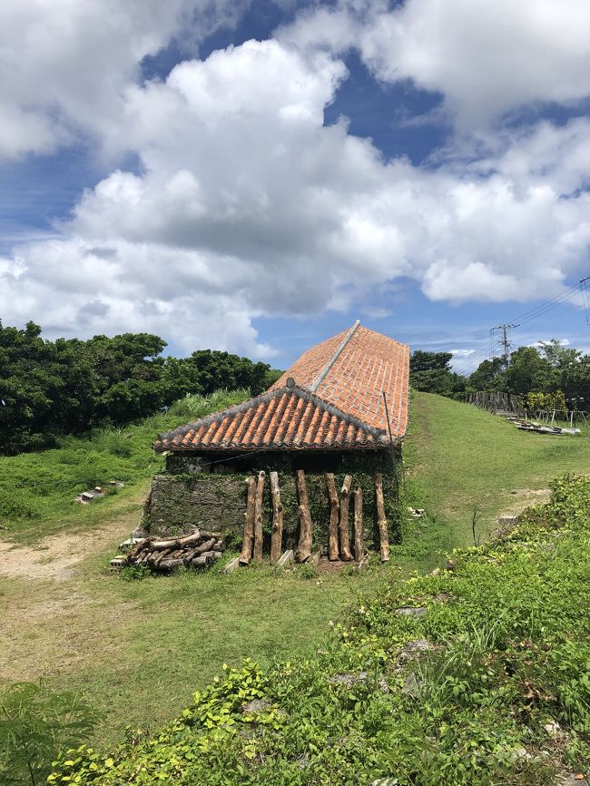 待ちに待った夏休み！！今年は家族で沖縄へ。<br />美ら海周辺を中心に自然に触れ合う旅でした。