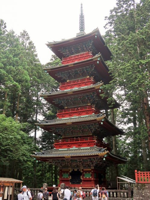 限定本　日光東照宮の文様 日光東照宮の装飾文様 植物・鳥類 | Graphic-Sha Publishing