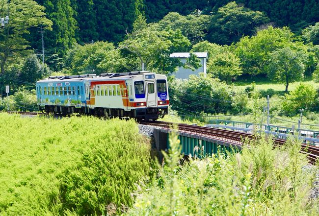 数年前から気になっていた遠野ホップ収穫祭。<br />今年、ついに行くことにして、次のような行程になった。<br /><br />1日目 エアアジアで仙台入り。盛岡泊<br />2日目 宮古から釜石まで三陸鉄道の旅。釜石泊<br />3日目 遠野ホップ収穫祭と一関地ビールフェスティバル。一関泊<br />4日目 仙台空港から帰路<br /><br />この日は2日目。<br />震災後、運休になっていたJR山田線の沿岸部が、<br />三陸鉄道に移管されて復旧。<br />本日はこれに乗ります。