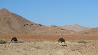 #29　南部アフリカ旅行１　-ナミブ砂漠入り口の村、セスリエムへ-