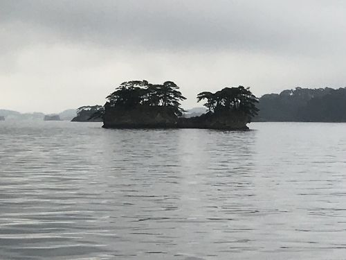 日本最大級 日本三景松島巡り：観光船に乗り、美しいが一度見れば十分かな 絵画