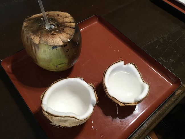 民宿みやよし荘で、獲って来た椰子の実を割ってもらい、ジュースを飲みココナツを食べた♪黒島のネコ牧場♪2019年７月八重山・黒島８泊９日１１４