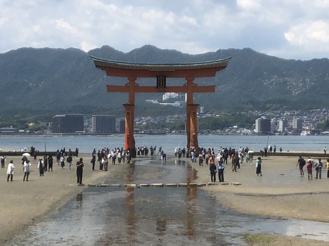 1日目、2日目とマツダスタジアで野球観戦をし、<br />3日目は宮島へ観光に行ってきました。<br />