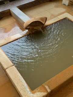 伊香保   令和天皇陛下ご夫妻もお泊まりになられた老舗旅館へ&#10071;️  1日目