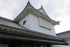 2018春、岡山の日本百名城(10/13)：津山城(2)：桜の津山城、里桜、表御門、天守台