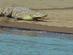 カラ－ラ国立公園のタルコレス川で自然観察