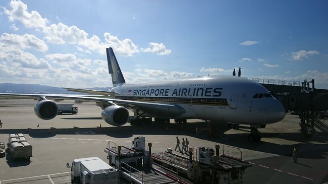 関西空港から期間限定で就航するA380に乗るためにシンガポールに行って来ました。復路は5月に世界初就航のB787-10に乗りビジネスクラスの乗り比べをして来ました。A380は事前に改修前の古い機材と分かっていましたが、やはり新機材のB787-10の圧勝でした。シンガポールは今年2回目ですが、前回はステイタス修行で空港から出ずに帰ってしまったので、今回は超ベタですがマリーナベイサンズに宿泊しました。