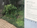 練馬の旅行記