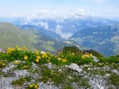 スイス再訪　ホテルステイで美食とハイキング三昧(4)ヴァイスホルン・ハイキング