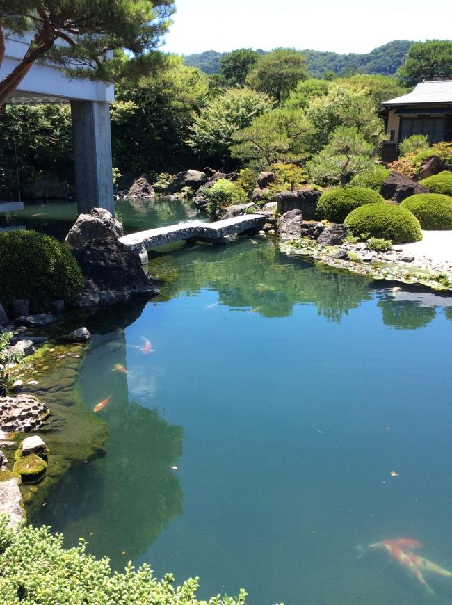 庭園で有名な足立美術館に行きました。近くのローソンで当日にチケットを購入(100円割引)でも入場料は高いです。レンタカーで行きましたが駐車スペースは十分にあります。館内の設備も整っていました。庭園は眺めて見るだけです。伊東深水が若い頃の娘である朝丘雪路を描いてた大きな絵もありました。横山大観も有りましたが写真は禁止されていました。