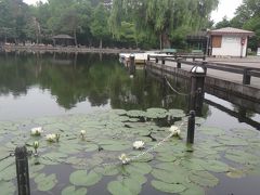 旭川早朝散歩　常盤公園を歩く