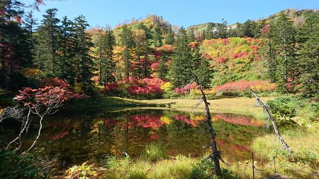 2018.9 北海道で日本一早い紅葉を見てきた～2日目～