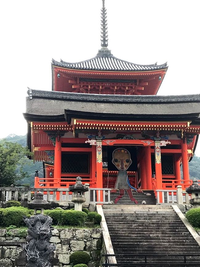 前回の旅行記で江之浦測候所と言う所にいってますが。<br />あれからアート作品を見るのが楽しくなってしまって。<br />美術館というのは撮影禁止な所が多いので、旅行記にしてませんが。<br />千葉県のホキ美術館。<br />ここは、写実絵画の美術館ですが。まじで写真!?と思える絵画が展示されております。<br />そして、東京国立博物館での特別展「三国志展」に行ったり。<br />三国志展は殆の作品の撮影は出来ました。<br /><br />そんな感じで夏の終わりを過ごしておりますが。<br />ちょっとした事で京都、清水寺で8日間だけのアート展があるって知ってしまって。<br />その時にちょろっと見たものが表紙写真のアートでした。<br /><br />これは行きたい!!<br />そしてJR東海ツアーズで日帰り京都の新幹線チケットを購入。<br />アート展は9月1から8日まで。<br />1日は日曜日、その初日に行って来ました。<br /><br />殆どの写真はフィルムカメラ。<br />少しだけ携帯で撮った写真で作っております。