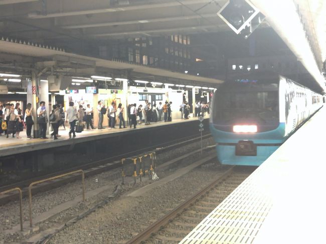 　2019年8月30日から31日にかけて東京へ行ってきました。<br />　鉄道情報サイト「レイルラボ」の鉄レコ（乗りつぶし）、首都圏再踏破を目指します。<br />　この日は仕事を早退して北陸新幹線で大宮駅へ、大宮駅から埼京線で新宿へ、新宿から東海道本線の貨物線羽沢線に乗りに行きます。