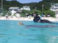 レンタカーなしの沖縄！渡嘉敷島で海ガメ、久高島でパワーの離島女子親子旅（２日目/4泊）