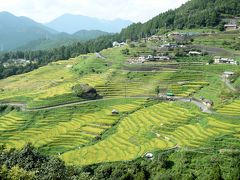 ■ 日本一の棚田風景「丸山千枚田」＜三重県＞