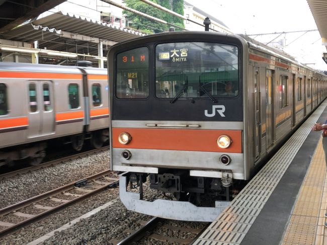 　2019年8月30日から31日にかけて東京へ行ってきました。<br />　鉄道情報サイト「レイルラボ」の鉄レコ（乗りつぶし）、首都圏再踏破を目指します。<br />　西武線再踏破ののちは、武蔵野線新秋津駅から大宮行き「むさしの」号に乗ります。