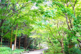 緑あふれる心地良い空間「東山植物園」を散策
