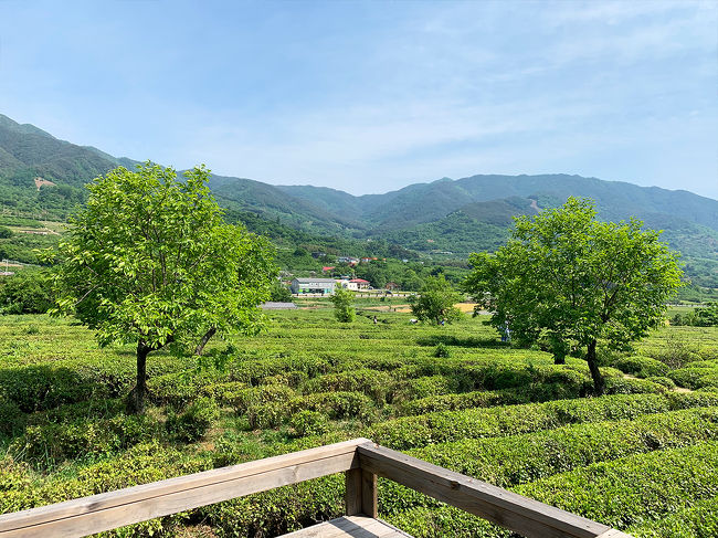 忙しい日常を抜け出して韓国・慶尚南道でゆったりスローライフ旅行、してみたくありませんか？？<br /><br /><br />美味しいものに癒され、大自然や緑に癒され、ゆったりした時間を楽しめる超おすすめコース【河東編】を今日はご紹介していきます～