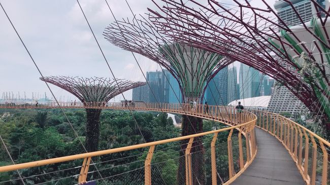 ガーデンズバイザベイ<br />マリーナベイサンズ<br />Vivo city<br />チャンギ空港<br />さよならシンガポール