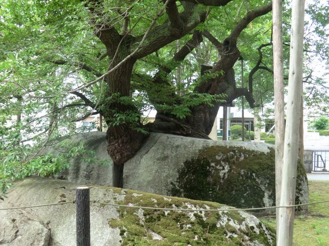 盛岡に名残を惜しみつつ八幡平へ