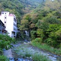 青春18きっぷで、下部温泉と沼津港一人旅　(1日目）下部温泉