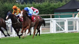 2019年8月　英国　その１ イングランド：イーシャ　サンダウンパーク競馬場