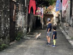 香港 マカオ 子連れ旅行 夏休み 2019 その② - スタジオシティ3泊と世界遺産編 -