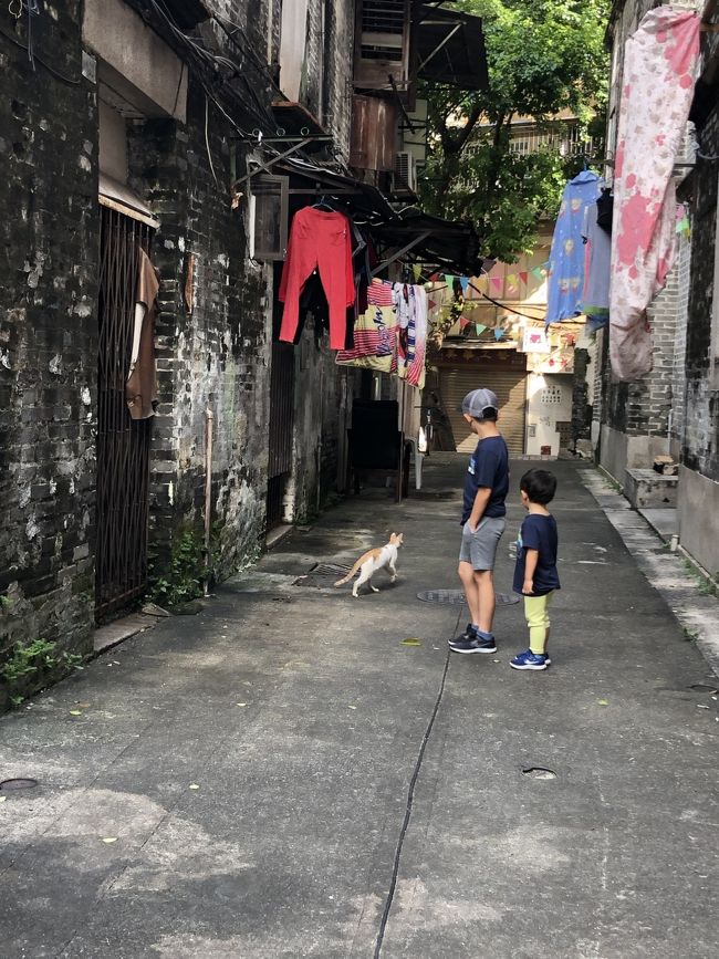 香港 マカオ 子連れ旅行 夏休み 2019 その② - スタジオシティ3泊と世界遺産編 -