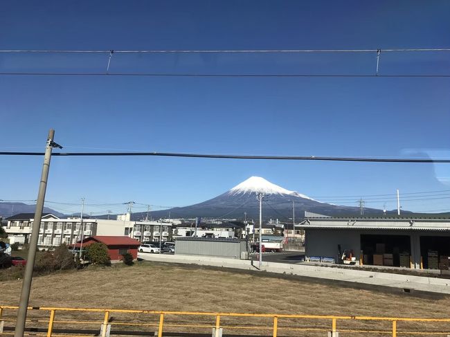 2018年12月26日~28日の2泊3日で、伊豆と山梨の温泉に行って参りました。<br />大変恐縮ではございますが、ほぼ備忘録のような旅行記となっております。<br /><br />温泉に入り疲れを癒し、美味しい食事を頂き、食事と共にお酒を堪能して心ゆくまで寝る。<br />日本人に生まれてきて良かったなと心から思う次第です。