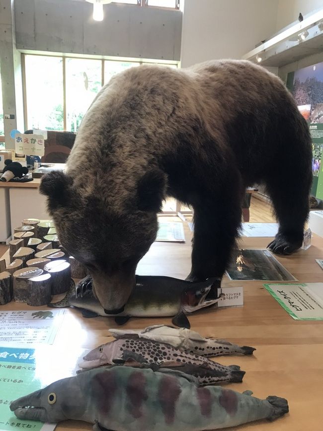 4度めの北海道山旅 羅臼 らうす 北海道 の旅行記 ブログ By Willyさん フォートラベル 4度めの北海道山旅 羅臼 らうす 北海道 の旅行記 ブログ By Willyさん フォートラベル