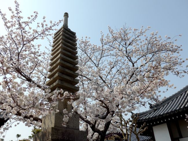 2019.4奈良出張，吉野，桜を満喫，そして名古屋へ2-桜の季節の大安寺，塔跡，帯解寺